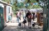 Das Tierheim in Lübeck veranstaltet am 05.05.2024 wieder einen „Tag der offenen Tür“. Foto: Veranstalter