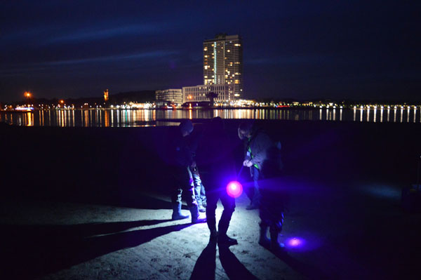 Am Travemünder Strand wird unter Schwarzlicht Bernstein gesucht. Foto: Veranstalter