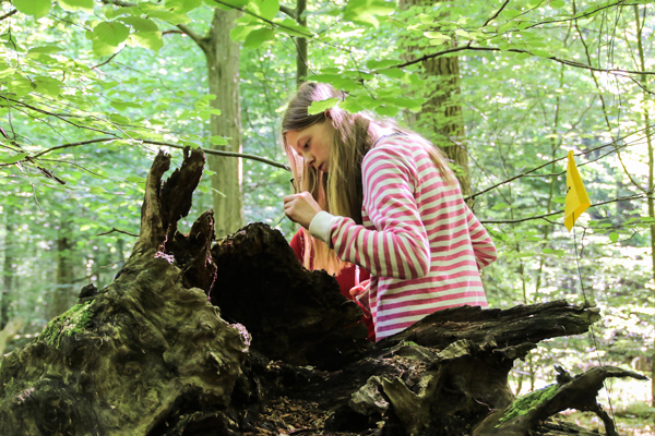 Eine wichtige Initiative der Naturwald Akademie ist das Projekt der Wald Scouts. Foto: Naturwald Akademie