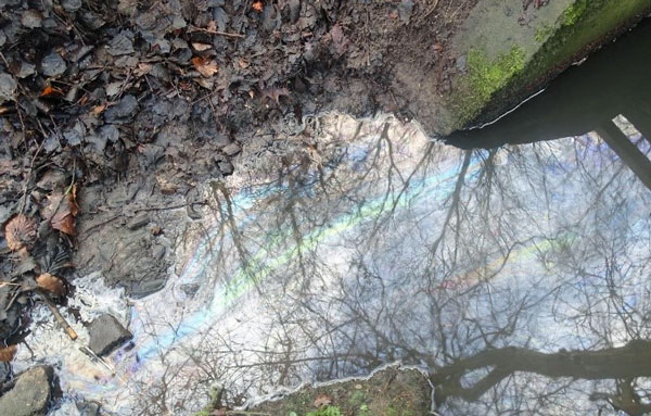Am Montagnachmittag (30.01.) bemerkte ein Spaziergänger eine Gewässerverunreinigung an einem Zulauf in die Trave im Bereich Gothmund. Foto: Polizei