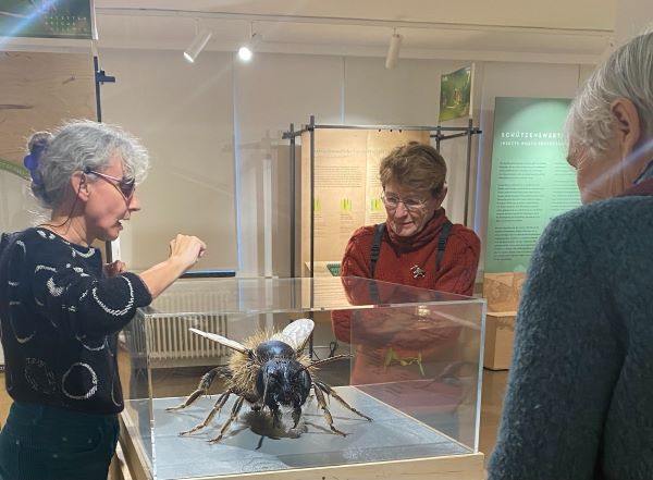 Die Ausstellung “Facettenreiche Insekten” nutzten die Lübecker Grünen zu einem Informationsaustausch mit der Museumsleiterin Frau Dr. Susanne Füting. Foto: Grüne
