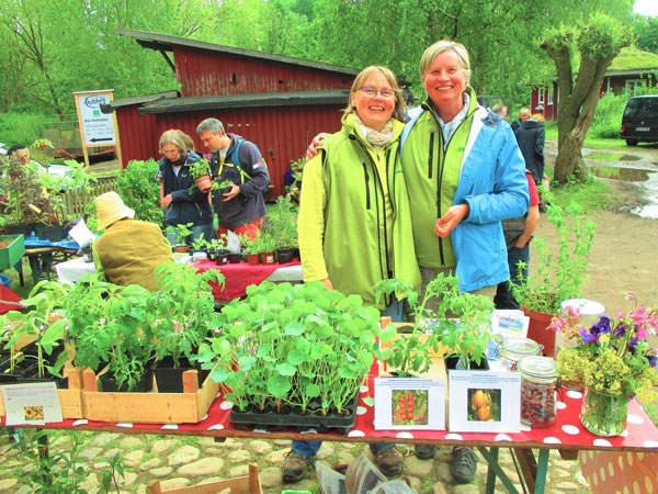 Freuen sich auf die Veranstaltung: Die Organisatorinnen des Pflanzenmarktes Heidrun Schneeberg und rechts Renate Krüger. Foto: Landwege e.V.