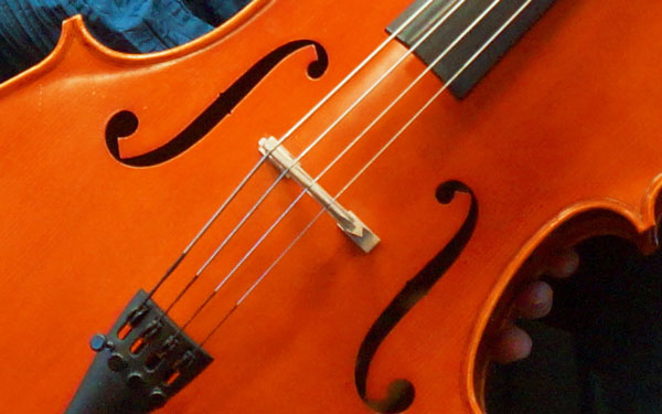 Am Sonntag, 11.06.2023, findet um 19:00 Uhr in der Musik- und Kunstschule Lübeck das MusikForum für Cello und Kontrabass statt. Symbolbild: HN