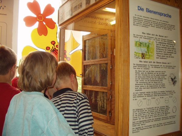 Am Samstag gibt es einen Bienen-Workshop für Kinder. Foto: Museen
