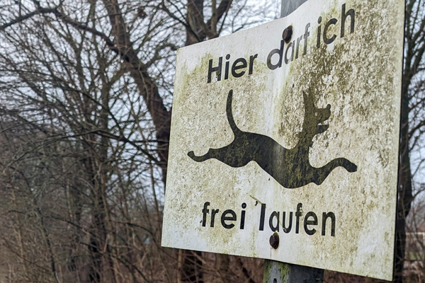 SPD und FW fordern mehr Hunde-Freilaufflächen in Wohnnähe. Foto: Archiv/HN