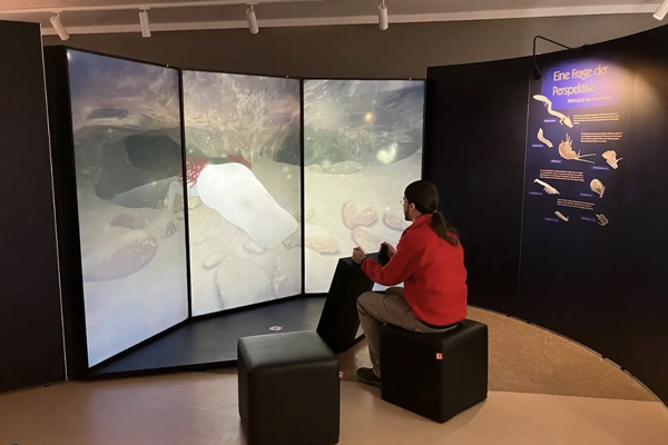Taktile Modelle machen die Ausstellung interaktiv. Fotos: Museum für Natur und Umwelt