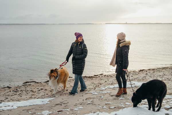 Die Sunday Morning Dog Walks werden ab dem 20. November 2022 und bis zum 26. März 2023 angeboten. Foto: TALB.