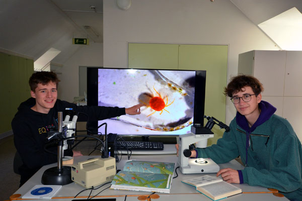 Max Werning und Lukas Blome zeigen die Welt des Plankton.