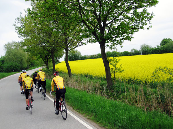 Am Sonntag findet die Radtourenfahrt durch Ostholstein statt. Foto: RST