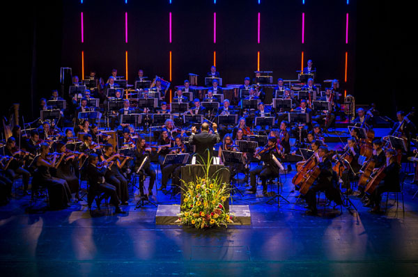 Das Weihnachtskonzert des Philharmonischen Orchesters bekam viel Beifall. Foto: Olaf Malzahn