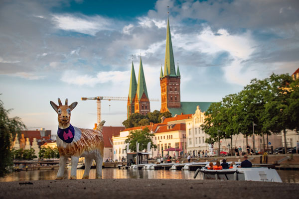 Seit zehn Jahren ist Zieglinde in Lübeck unterwegs. Foto: Freie Ziege Lübeck