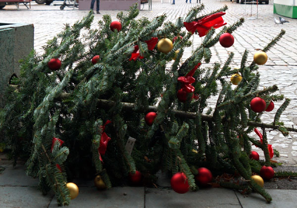 Ab Montag werden die Weihnachtsbäume zusammen mit den Biotonnen abgeholt. Foto: JW/Archiv