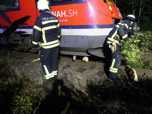 Der Baum stürzte auf ein Auto und auf die Gleise im Bereich des Bahnhofs Bad Schwartau. Fotos: STE