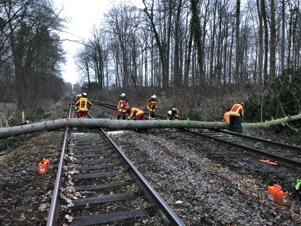 Die Freiwillige Feuerwehr Scharbeutz entfernte die querliegenden Bäume von den Schienen. Foto: DS