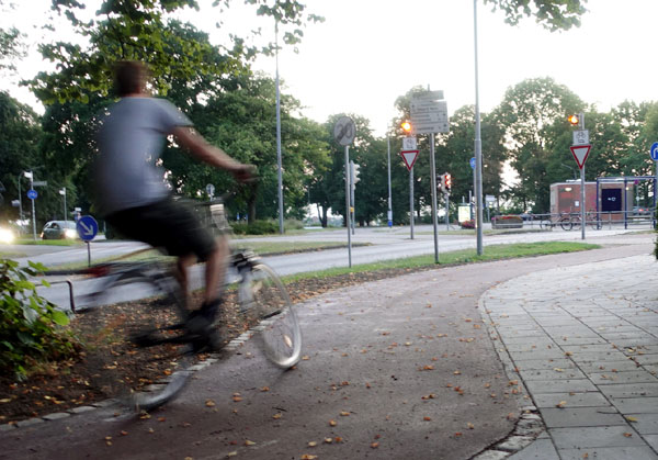 Von den vor zehn Jahren 145 Maßnahmen für den Fahrradverkehr wurden 47 umgesetzt. Foto: JW/Archiv