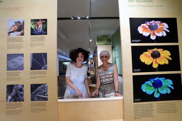 Daria Carobene, wissenschaftliche Volontärin, und Museumsleiterin Dr. Susanne Füting zeigen die faszinierende Welt der Insekten. Fotos: JW