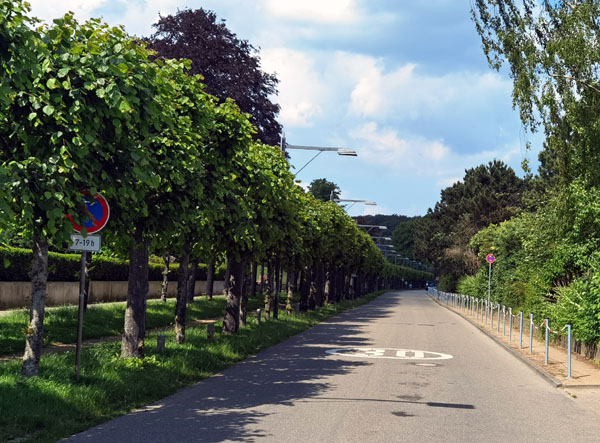 Die Kaiserallee im Juli 2022: Selbst für entgegenkommende Radfahrer ist die Straße laut Stadtverwaltung zu schmal. Fotos: VG/Archiv