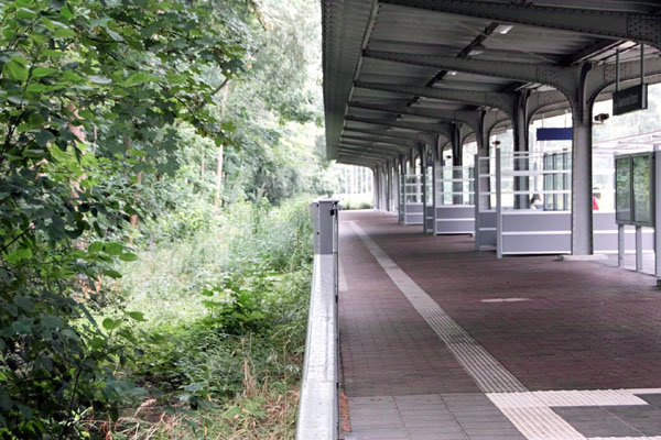 Die CDU bezweifelt, dass die Büsche und Bäume am Bahnsteig über 100 Jahre alt sind. Foto: VG