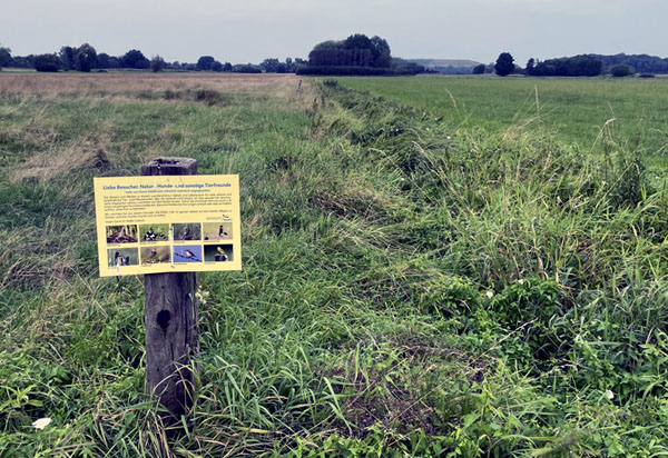 Das Krummesser Moor wird wieder vernässt. Fotos: Hansestadt Lübeck