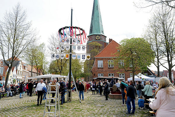 In Travemünde wurde der Maibaum am Sonntagvormittag aufgestellt. Fotos: Karl Erhard Vögele