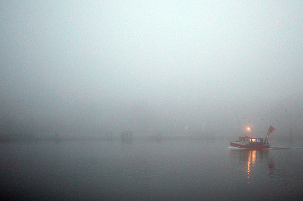 Nach dem Nebel erwarten uns viele sonnige Tage. Fotos: Karl Erhard Vögele