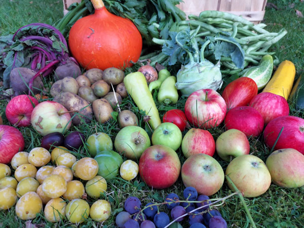 Hanse-Obst berichtet am Dienstagabend über Obst und Gemüse in Lübeck. Foto: Veranstalter