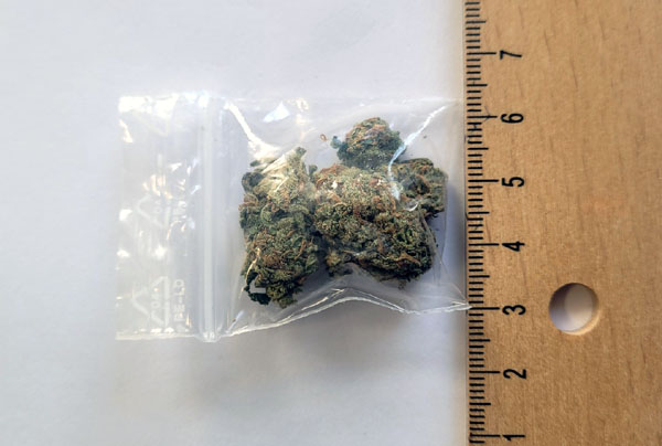 Kinder fanden das Marihuana auf dem Spielplatz an der Oldenburger Straße. Foto: Polizei