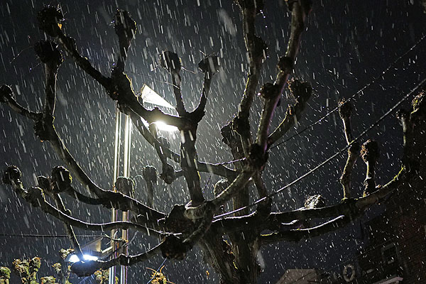 Der Freitag startete in Lübeck mit Schneefall. Fotos: Karl Erhard Vögele