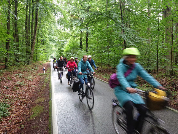 Im Schnitt legte jeder Teilnehmer 245 Kilometer mit dem Fahrrad zurück. Foto: Hansestadt Lübeck