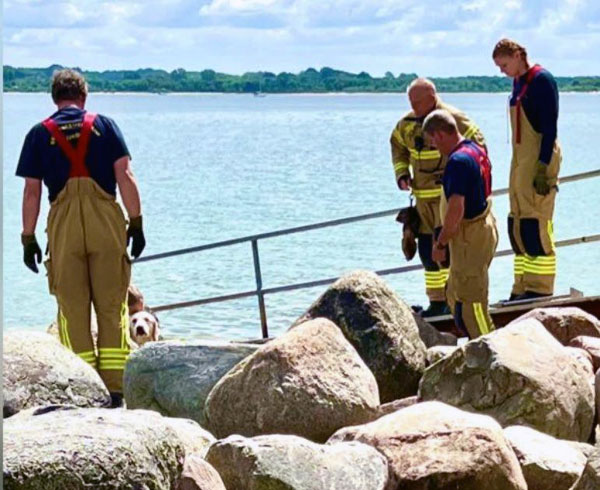 Einsatzkräfte der Feuerwehr halfen einem zwischen den Findlingen am Badesteg eingeklemmten Golden Retriever. Fotos: Helge Normann, privat