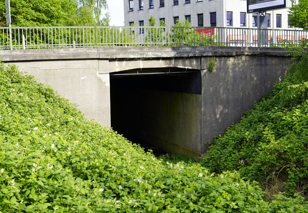 Die ehemalige Bahnbrücke der Schwartauer Allee könnte eine neue Funktion bekommen. Fotos: VG