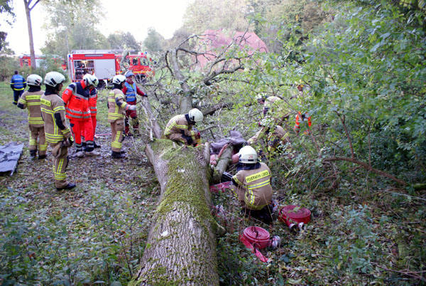 Umgestürzte Bäume wird die Feuerwehr auch in den nächsten Tagen wieder beseitigen müssen. Symbolbild: Oliver Klink