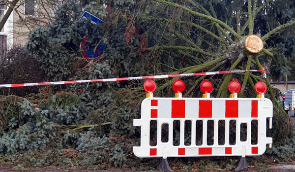 Der Deutsche Wetterdienst schließt Sturmböen bis Stärke 9 nicht aus. Foto: Oliver Klink/Archiv