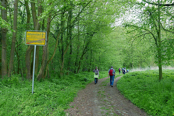 Die Wanderung führt vom ehemaligen Todesstreifen bis St. Lorenz Travemünde. Foto: Karl Erhard Vögele/Archiv