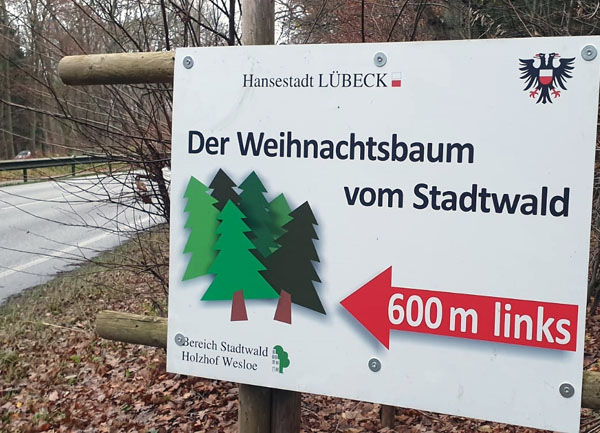 Der Stadtwald verkauft Weihnachtsbäume aus dem Lübecker Wald. Fotos: Oliver Klink
