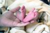 Die Füße der kleinen Mila in der Hand ihrer Mutter. Das Mädchen kam am Abend des 25. September als erstes Baby im Marien-Kreißsaal zur Welt. Fotos: UKSH